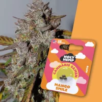 Holy Hemp Cannabissamen - Mango Smile